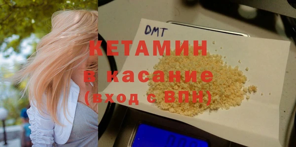 шишки Абаза