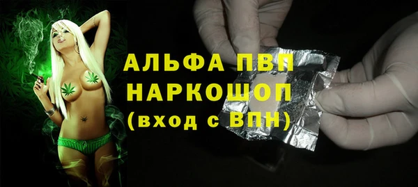 шишки Абаза