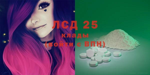 шишки Абаза