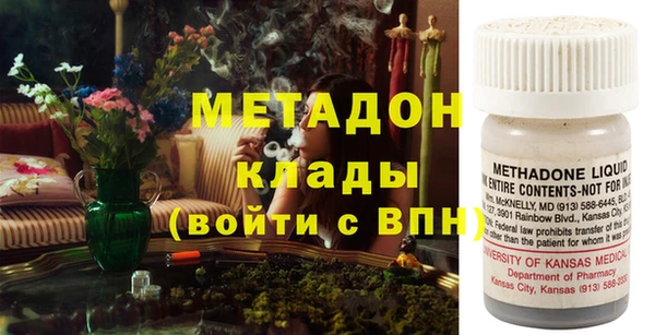 шишки Абаза