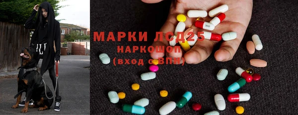 шишки Абаза