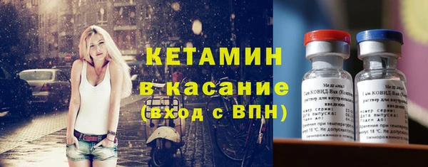 шишки Абаза