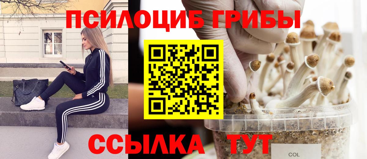 Галлюциногенные грибы прущие грибы Новочебоксарск