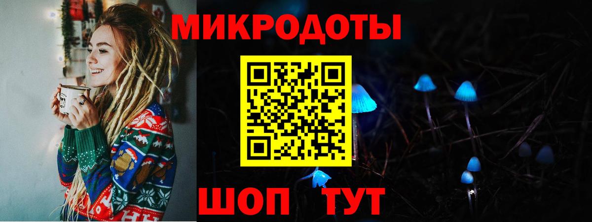Галлюциногенные грибы Psilocybe  Вход с VPN  Новочебоксарск 
